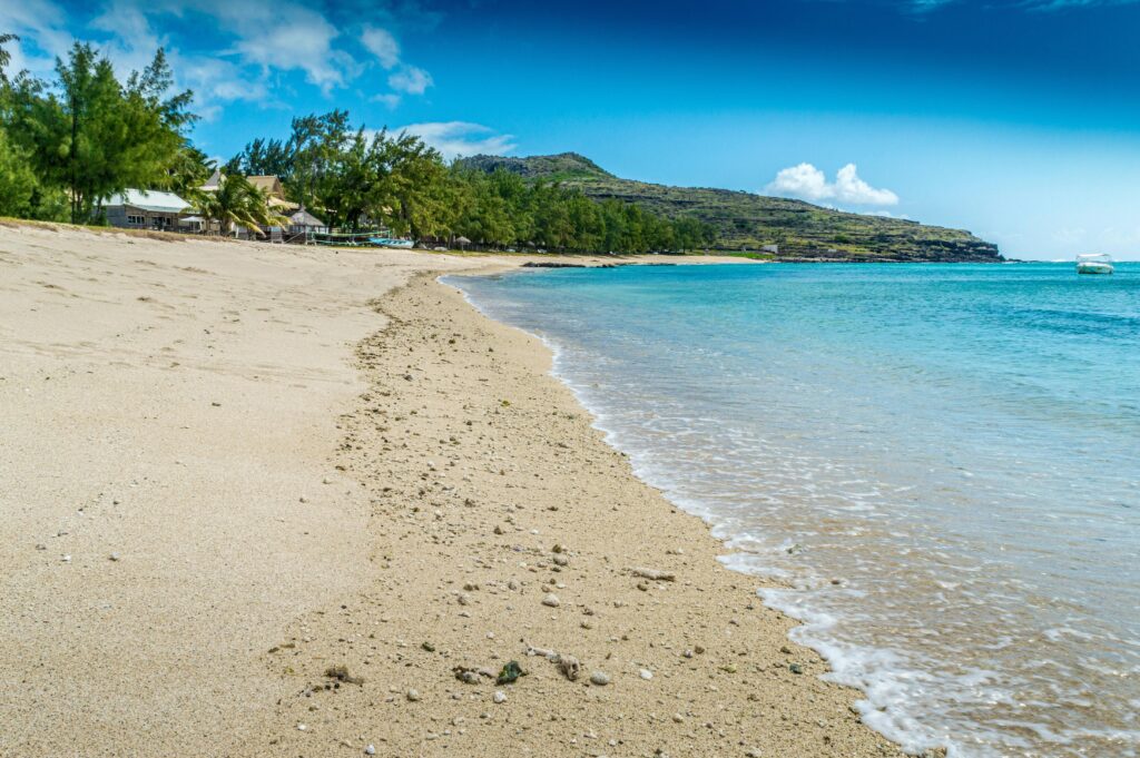 Noel ile maurice scaled